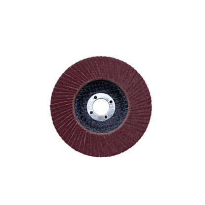 Fächerschleifscheibe 125mm K80 Premium
